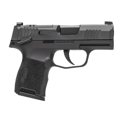 P365 Striker 9mm Luger Semi-Auto Handgun W/ X-Ray 3 Sights - P365 Striker 9mm 3.1" Bbl (2)10rd Mags Gray